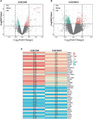 Analysis and Validation of Hub Genes in Blood Monocytes of Postmenopausal Osteoporosis Patients